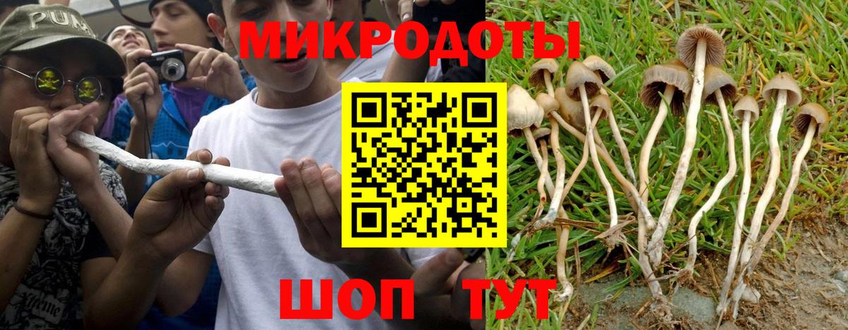 Галлюциногенные грибы Psilocybine cubensis Чебаркуль