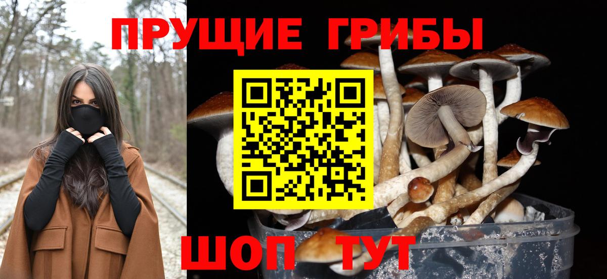где купить наркоту  Вход с VPN  Чебаркуль  Псилоцибиновые грибы мухоморы 